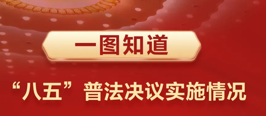 一图知道｜“八五”普法决议实施情况